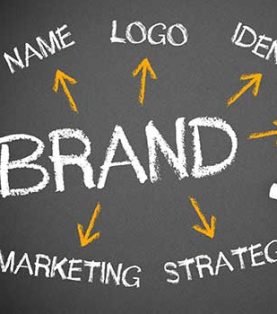 Brand Management
